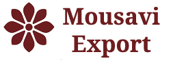 Education Logo Images